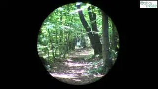 Schmidt & Bender 1-8x24 PM II ShortDot reticle Mil-Dot CC subtensions