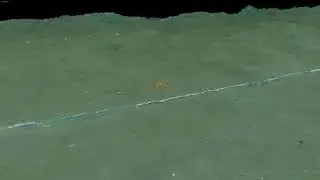Close-up Visual Seabed Survey - 20m Depth - 3D photogrammetry