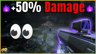 Huge Buff to Exotic Primary Weapons - Destiny 2 Witch Queen - 40% Damage Buff to Minors