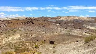 Petrified Forest National Park | Petrified Forest, Arizona