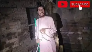 Tiri snack reskq kiya gaya ￼🐍🐍#cobra #snacks #snakecobra #sorts #song #viralvideo #viral