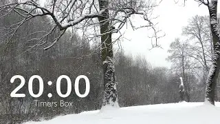 20 Minute Winter Timer - Calm & Relax with Soothing Music ❄️ Teachers, Class, Study, Focus, Meditate