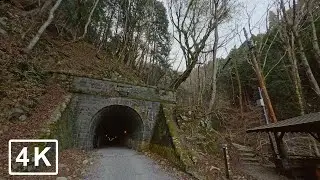 Izu Peninsula Scenic Drive #2｜Morning Coastal & Mountain Route POV【4K】