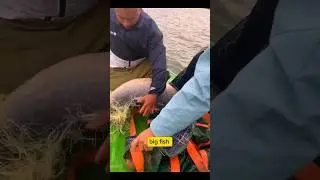 Запчасти для охоты на крупную рыбу 843 🐠#hugefish #safanafishing