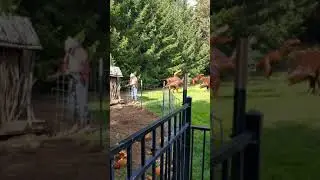 Roloff Farm 2020