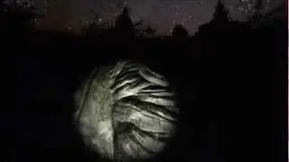 Indie Game: White Noise