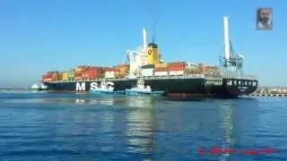 MSC MARINA-304 m Container Ship