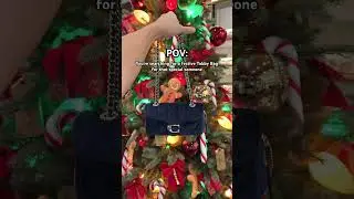 Festive Tabby Bags