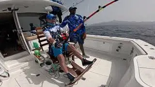 Blue Marlin on Blue Oceans, Cape Verde 2025