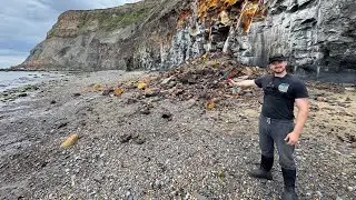 Fossil Hunting by a Fresh Landslide! Finding 185 Million Year Old Ammonite and Squid Fossils!
