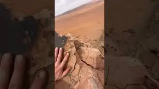 Some urges are ancient. Climbing desert rock is one of them. #climbing #desert #vibe