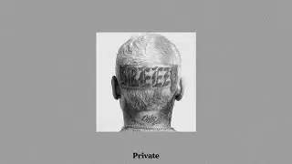 Chris Brown Type Beat 2022- Private [Chris Brown Beat]