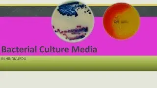 EASY!Culture medium for Bacteria. Hindi.Part 1