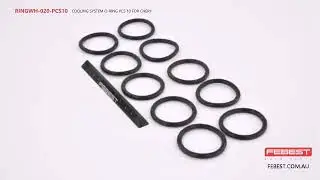RINGWH-020-PCS10 COOLING SYSTEM O-RING PCS 10 FOR CHERY
