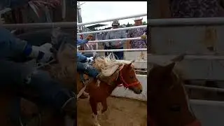 Jimmy Ellingson mini bareback ride 2022 swan river rodeo