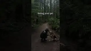 Times when life hits differently (ark patrol - let go)