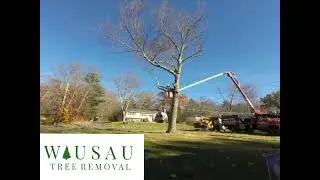 Tree Removal, Tree Service, Wausau WI