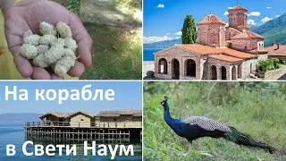 На корабле по Охридскому озеру / поездка в Градиште и монастырь Св. Наума,  Ч.1 / Северная Македония