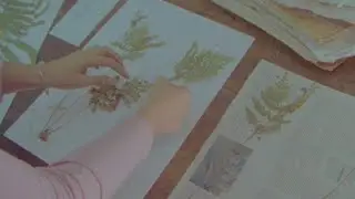 &ldquo;Herbaria&rdquo;, un documental sobre bot&aacute;nica, el cine y el paso del tiempo