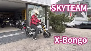 Wunderschöne NEUHEIT- SKYTEAM X-Bongo BIKE