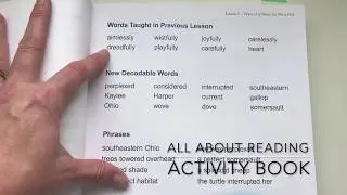 All About Reading Activity Book