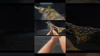 PUBG MOBILE M416 skin animation
