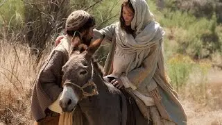 Little Donkey with lyrics and scenes from The Nativity