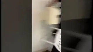 When your sister has lizard phobia🤣🤣🤣😂😂😂🤣🤣 MUST WATCH 😂😂😂 #funnyvideo #fun #funnyvideos