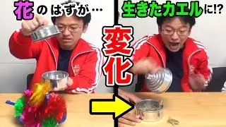 マジシャンに教わったマジックが本番でパワーアップしちゃうドッキリｗｗｗｗｗ