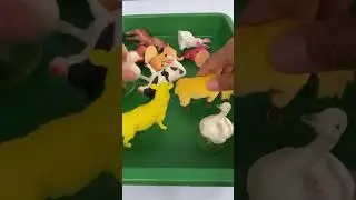 Farm Animal Toys #animals #toys #satisfying