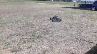 Red cat rampage chimera