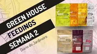 Tudo sobre os Fertiliz4ntes Green House Feeding - Di&aacute;ri0 do Jardineir0 Semana 2