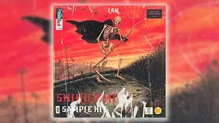 [Free] Drum Kit / Sample Pack- 