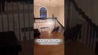 Gathering of Witches 😂 #stories #history #news #news #shorts