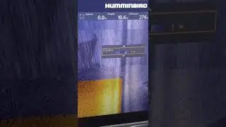 Humminbird Side Imaging Color palettes