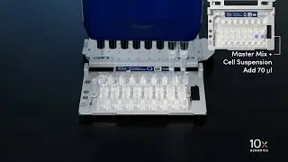 Single Cell Fixed RNA Profiling | Load Chromium Next GEM Chip Q