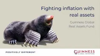Fighting inflation with real assets