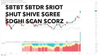 $BTBT $BTDR $RIOT $HUT $HIVE $GREE $DGHI $CAN $CORZ: Whales, price action analysis, would I buy?