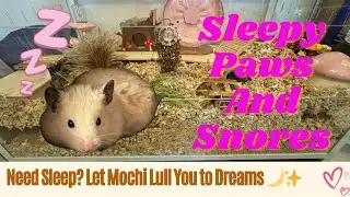 Relaxing Sleep Sounds: Drift to Sleep with Mochi: Say Goodbye to Loneliness