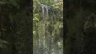Waterfall at Falling Waters State Park