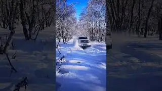 Снег Зима Внедорожный