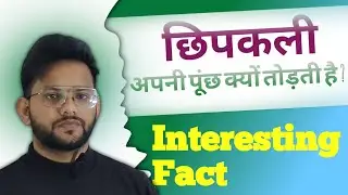 छिपकली अपनी पूंछ क्यों तोड़ती है ? | Why Lizards Cut Their Tails ?
