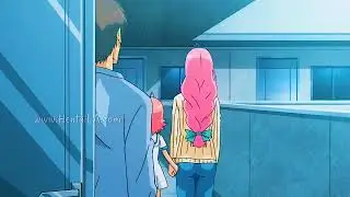RAP - NETORARE (NTR) V2