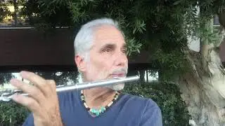 STARTING OVER AGAIN solo flute by The Hippy Coyote