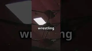 NBA Playoffs & WrestleMania 41: Epic Showdowns!