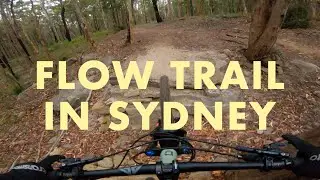 MILL CREEK FLOW TRAIL || HIT THE TURPS