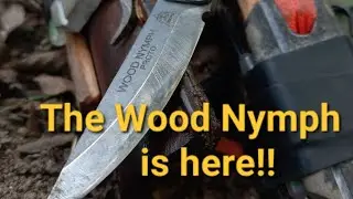 Wood Nymph drops 10/8/2024