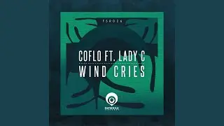 Wind Cries (Original Mix)