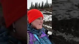 This hike went sideways! No more side quests! 