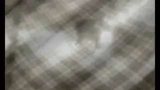ExpFilm.avi